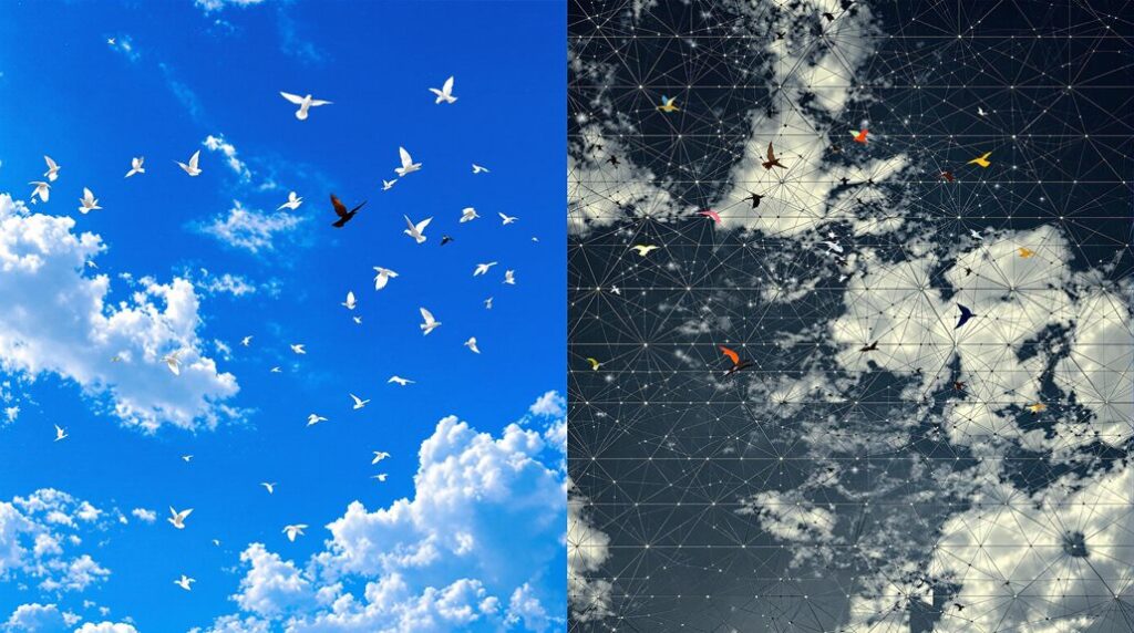 bluesky vs twitter comparison